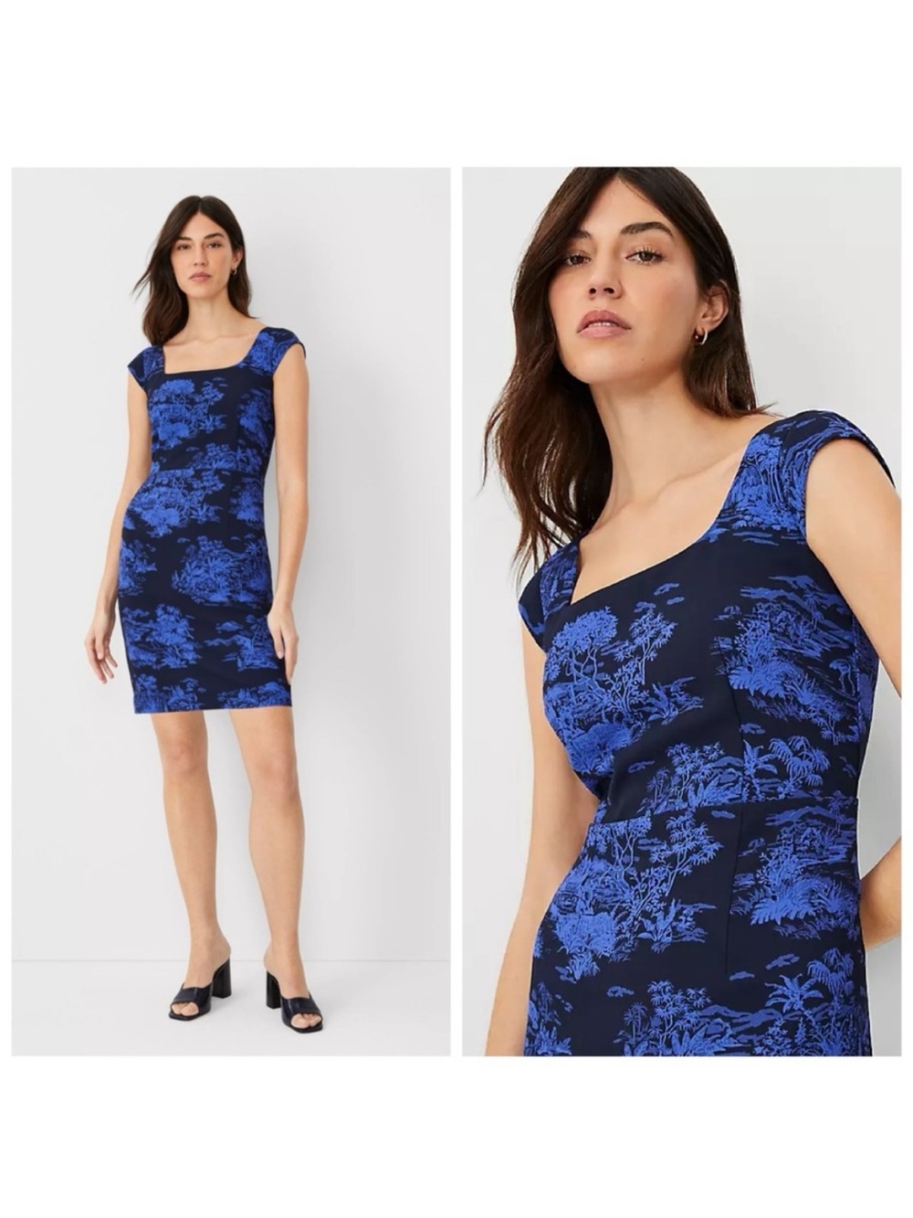 Ann Taylor Floral Cap Sleeve Square Neck Sheath Cocktail Dress NWT